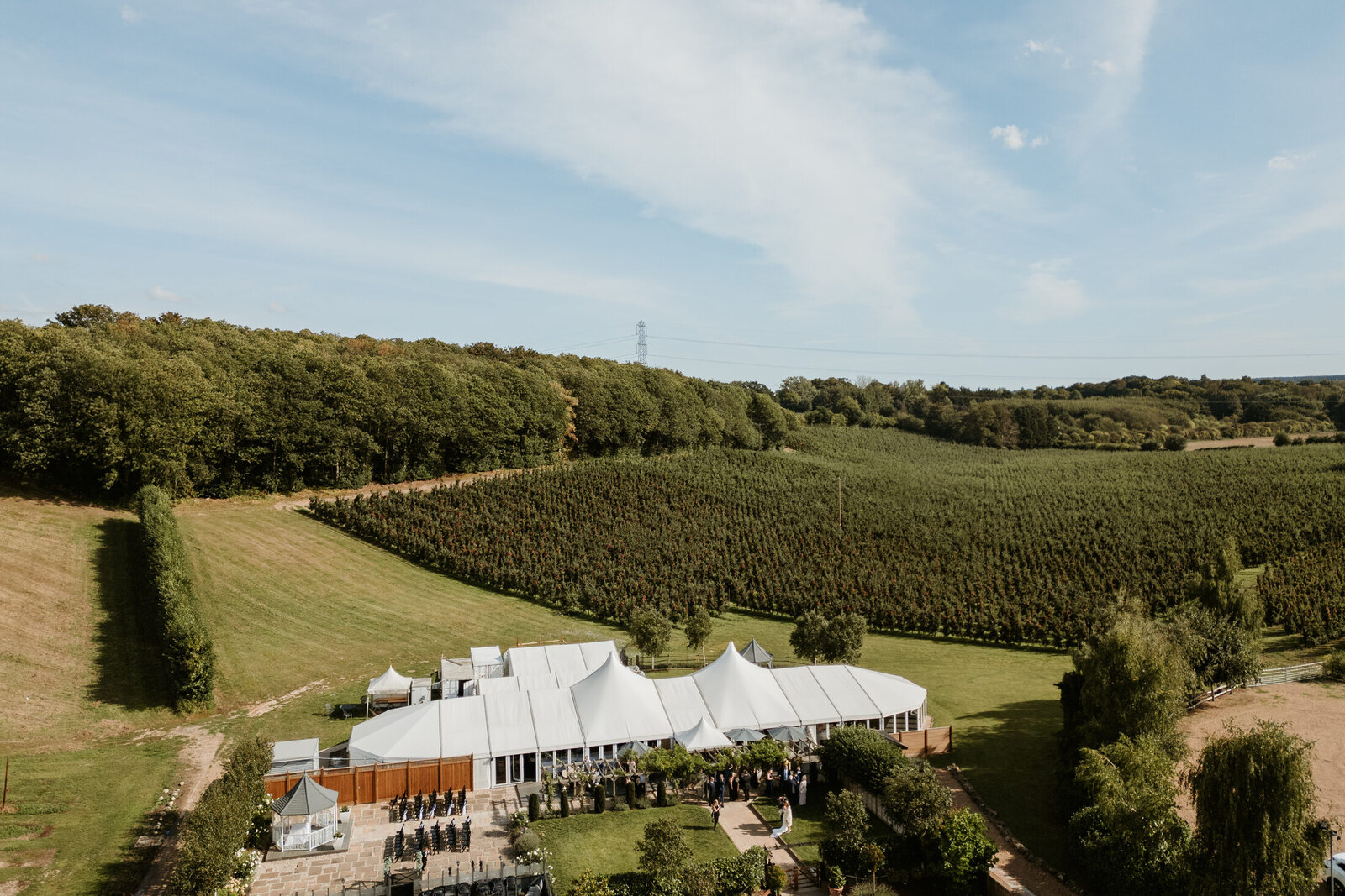 An aerial view across the apple orchards at The BarnYard, with the Arboretum tucked in below the woods