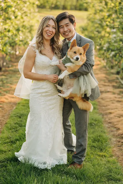 A couple hold their corgi in the orchard on their wedding day