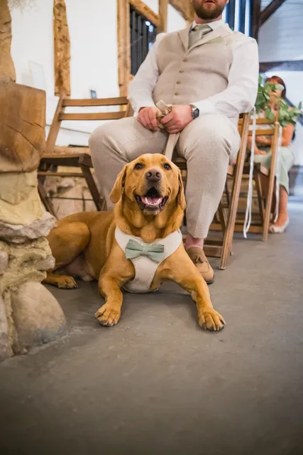 A dog in a bow tie sits between the couple during the ceremony