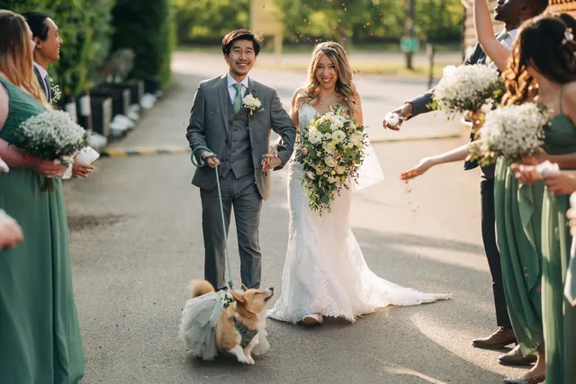 A couple walk with their two dogs after the ceremony