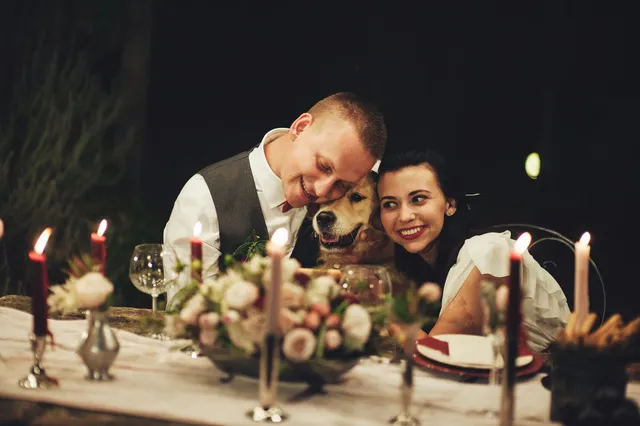 A couple with their dog at the wedding breakfast table