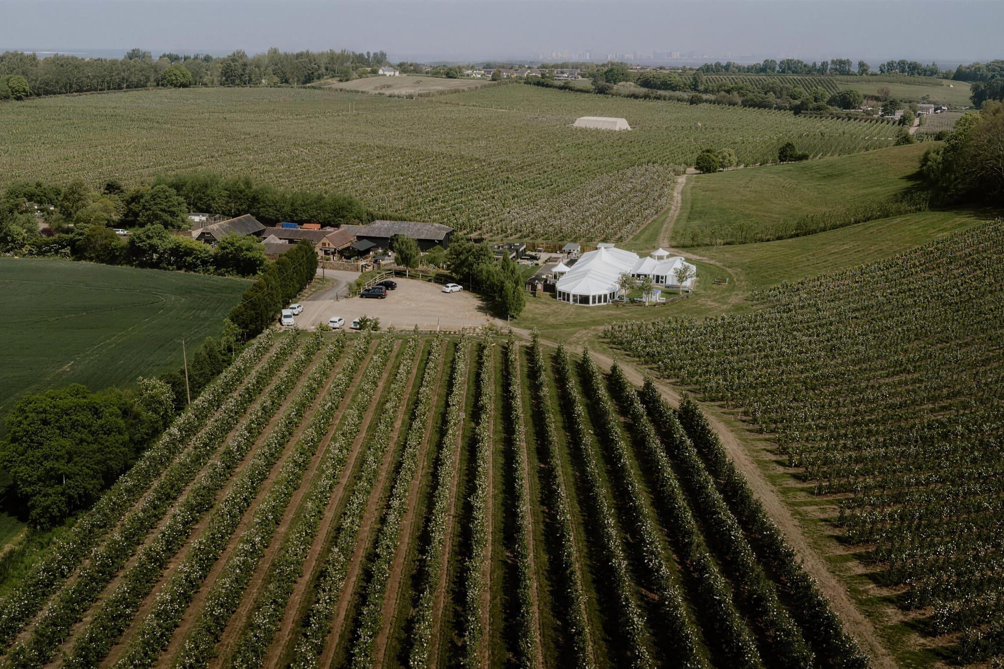 The Orchard