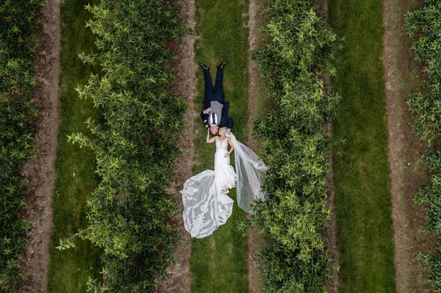 An aerial of a couple lying in the orchard rows