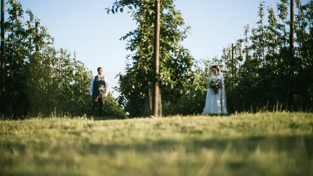 A bride and groom apart among the tall trees