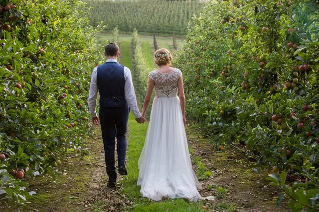 A couple walking away down an orchard row