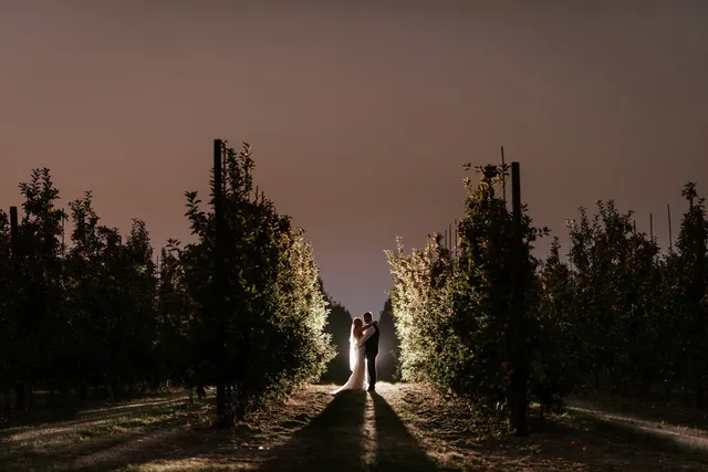 A couple silhouetted between the trees at dusk