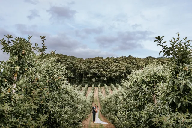 A couple standing deep in the orchard rows