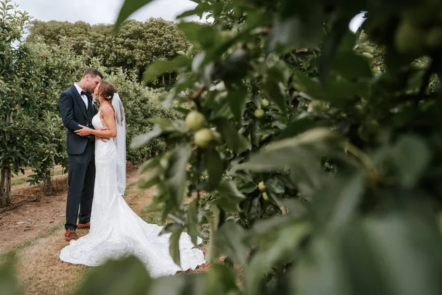A couple framed by fruit laden branches