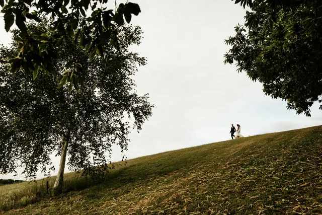 A couple on the hill under a spreading tree