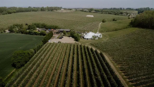 An aerial of the orchard rows and the venue