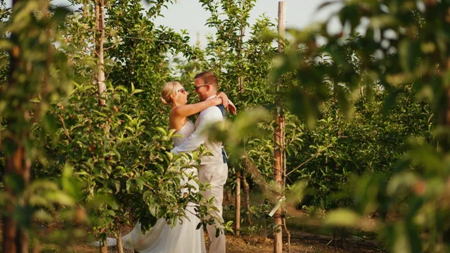 A couple embracing among the blossom