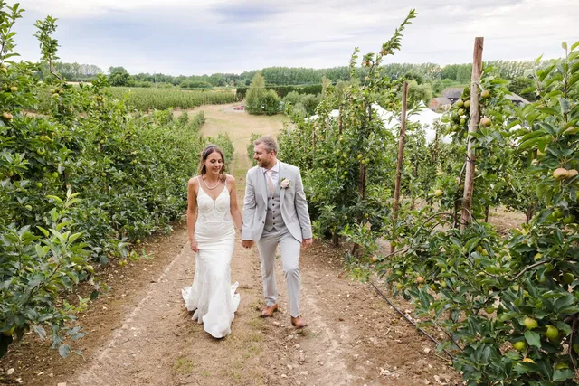 A couple walking a grass row hand in hand