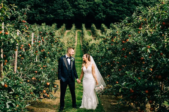 A couple walking the orchard with fruit on the branches