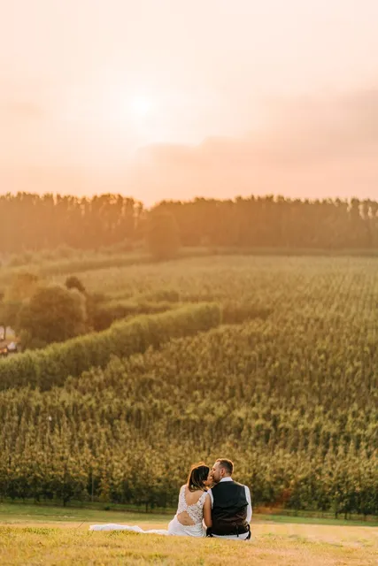 The fields glowing at sunset