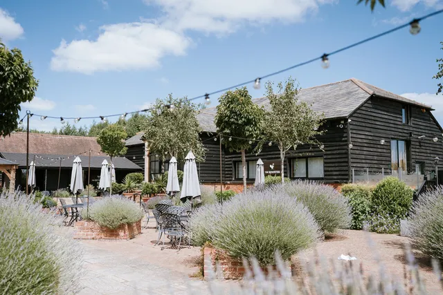 Lavender and parasols on the terrace outside The Rooster