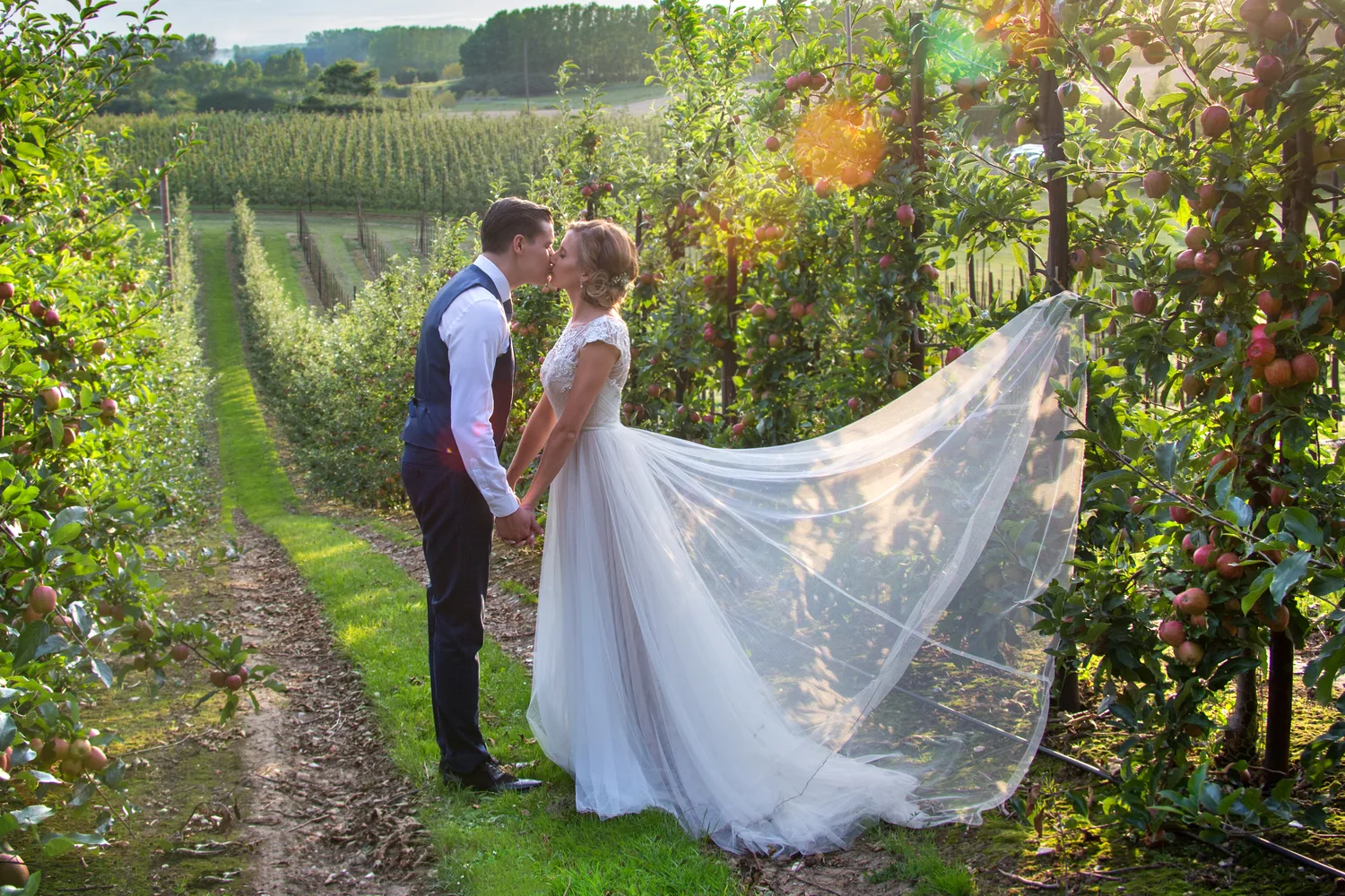A couple sharing a kiss in the apple orchards at their wedding at The BarnYard in Kent