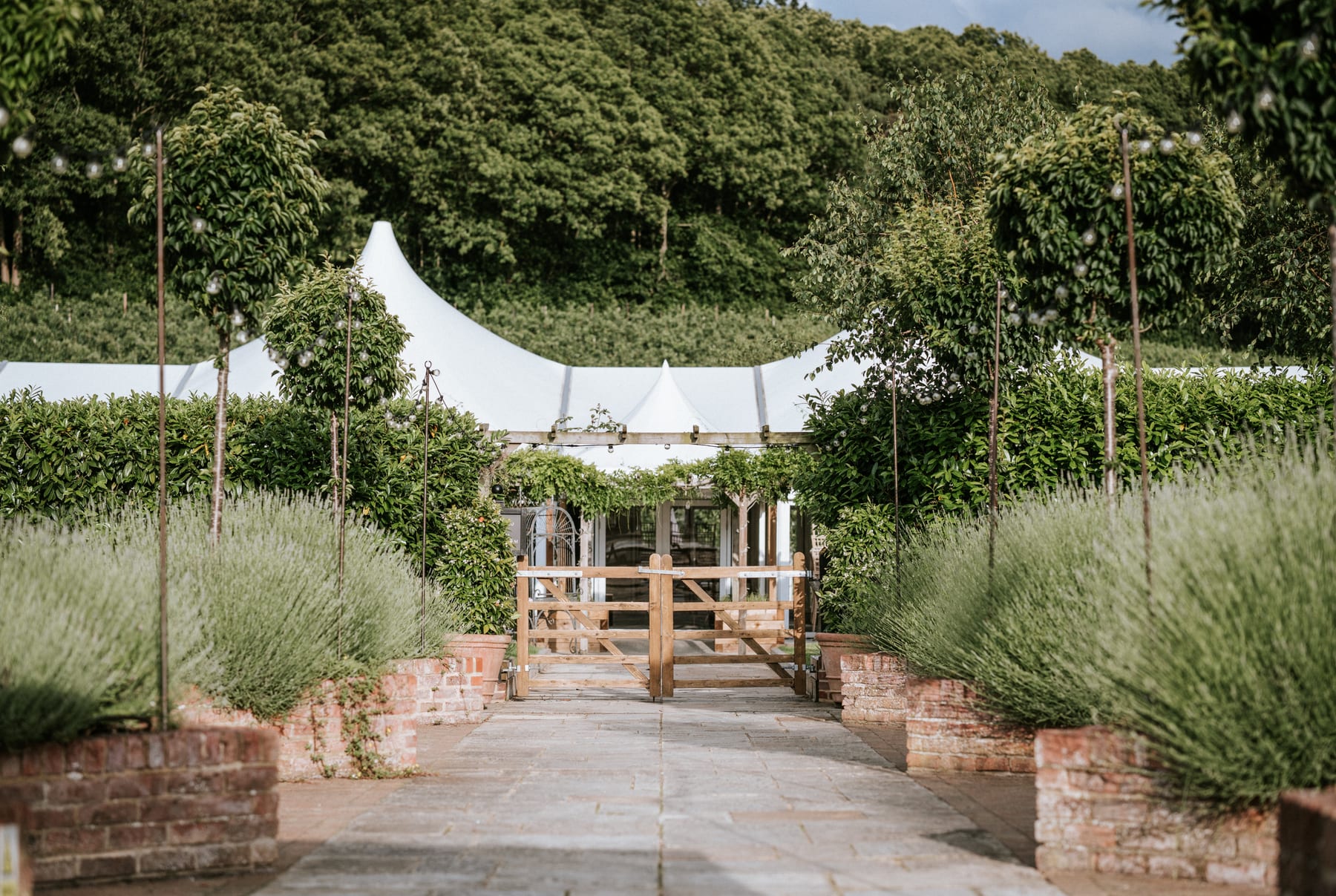 The lavender-lined path leading to the ceremony gardens at The BarnYard in Kent