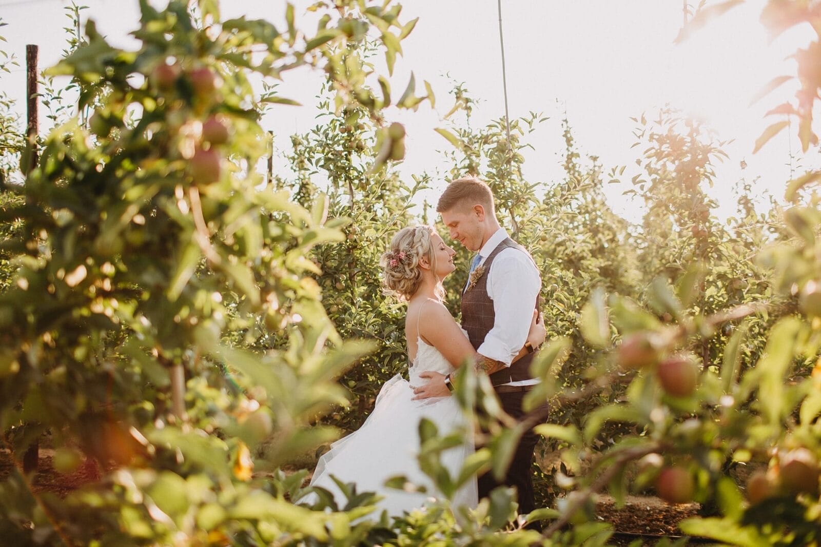 A wedding couple among the apple trees at golden hour at The BarnYard