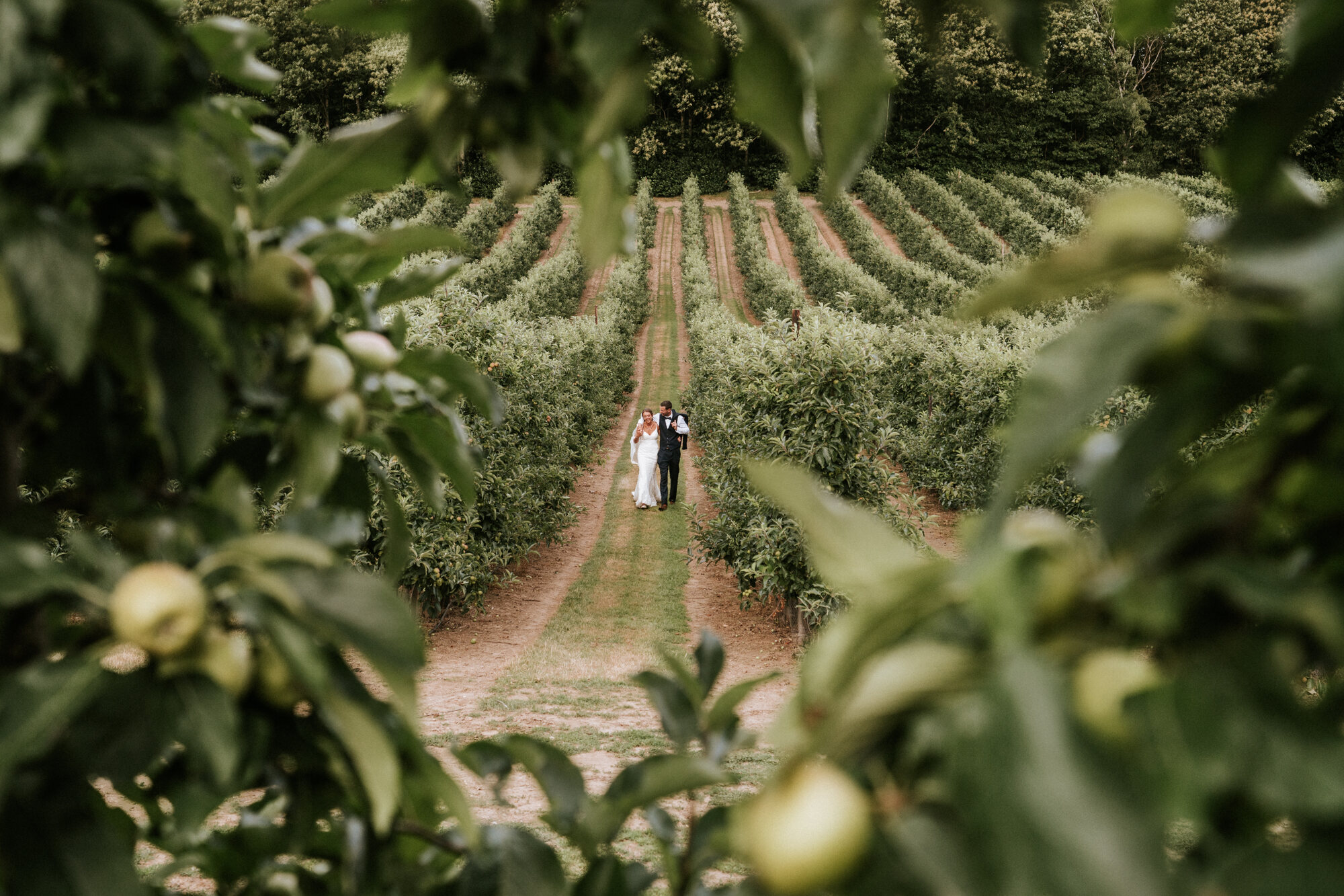 A bride and groom walking together down a grass avenue between the apple trees at The BarnYard, Kent